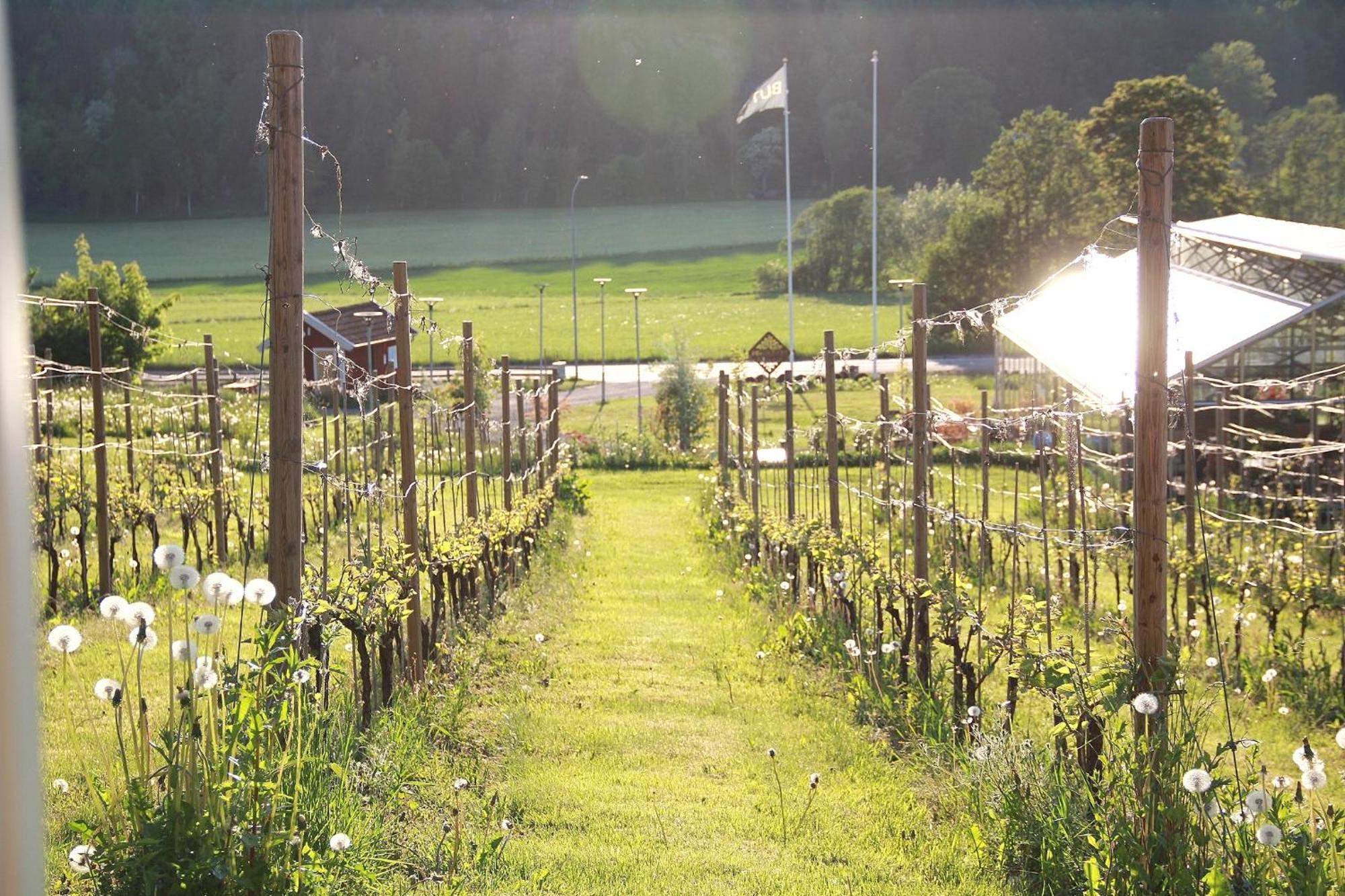 Gisebo Vingard Bed & Breakfast Huskvarna Bagian luar foto
